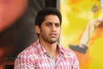 Naga Chaitanya Interview Photos - 35 of 65