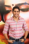 Naga Chaitanya Interview Photos - 46 of 65