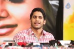 Naga Chaitanya Interview Photos - 51 of 65