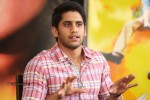 Naga Chaitanya Interview Photos - 55 of 65