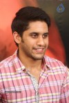 Naga Chaitanya Interview Photos - 59 of 65