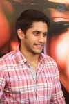 Naga Chaitanya Interview Photos - 63 of 65