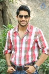 Naga Chaitanya Interview Pics - 16 of 82