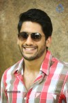 Naga Chaitanya Interview Pics - 22 of 82