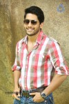 Naga Chaitanya Interview Pics - 26 of 82