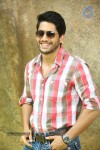 Naga Chaitanya Interview Pics - 28 of 82
