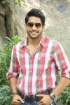 Naga Chaitanya Interview Pics - 29 of 82