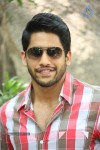 Naga Chaitanya Interview Pics - 38 of 82