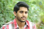 Naga Chaitanya Interview Pics - 39 of 82