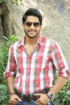 Naga Chaitanya Interview Pics - 42 of 82
