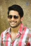Naga Chaitanya Interview Pics - 56 of 82