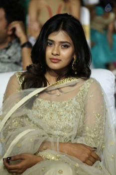 Nanna Nenu Na Boyfriends Audio Launch 1 - 26 of 74