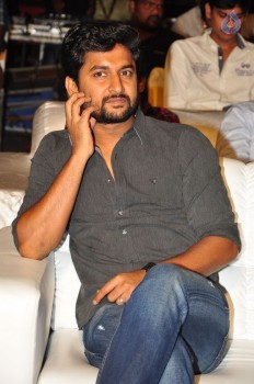 Nanna Nenu Na Boyfriends Audio Launch 2 - 43 of 100