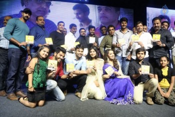 Nanna Nenu Na Boyfriends Audio Launch 2 - 44 of 100