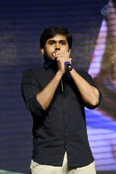 Nanna Nenu Na Boyfriends Audio Launch 2 - 46 of 100