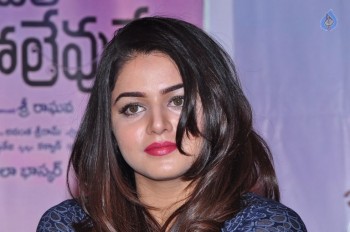 Nannu Vadili Neevu Polevule Press Meet Photos - 5 of 35