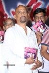 Natudu Movie Audio Launch - 58 of 152