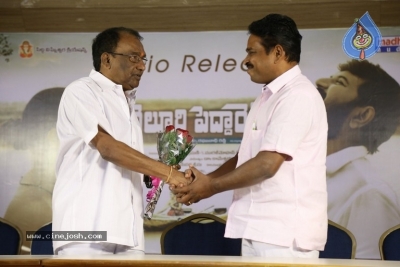 Nelluri Pedda Reddy Movie Audio Launch Photos - 5 of 12