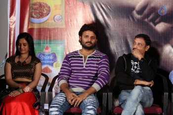 Nenostha Movie Press Meet - 16 of 21