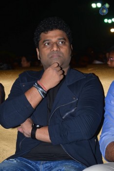 Nenu Local Audio Launch 1 - 29 of 49