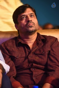 Nenu Local Audio Launch 2 - 45 of 84