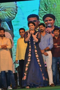 Nenu Local Audio Launch 3 - 30 of 126