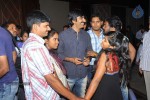 Nenu Naa Rakshasi Movie Audio Launch 01 - 99 of 152