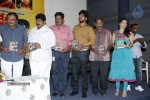 Nenu Nene Ramune Movie Audio Launch - 32 of 86