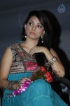 Nenu Nene Ramune Movie Audio Launch - 36 of 86
