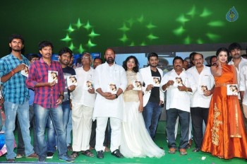 Nenu Seetha Devi Audio Launch - 2 of 33