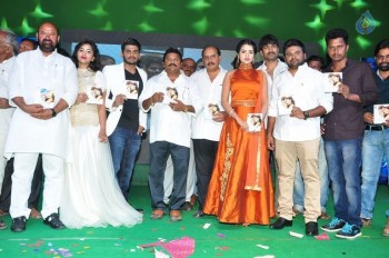Nenu Seetha Devi Audio Launch - 4 of 33