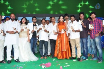 Nenu Seetha Devi Audio Launch - 16 of 33