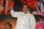 NRI Movie Audio Release - 4 of 61