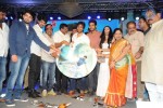 Nuvvu Nenu Okatavudaam Audio Launch 02 - 43 of 116