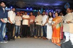 Nuvvu Nenu Okatavudaam Audio Launch 02 - 96 of 116