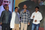Nuvvu Nenu Okatavudaam Audio Launch 02 - 112 of 116