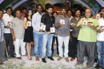 Ongole Gitta Movie Audio Launch - 1 of 166