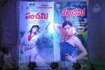 Panchami Audio Launch - 20 of 121