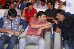 Pandaga Chesko Audio Launch 02 - 54 of 128
