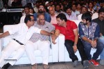 Pandaga Chesko Audio Launch 02 - 96 of 128