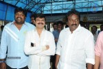 Pandaga Chesko Movie Opening - 183 of 200