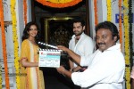 Pandaga Chesko Movie Opening - 188 of 200