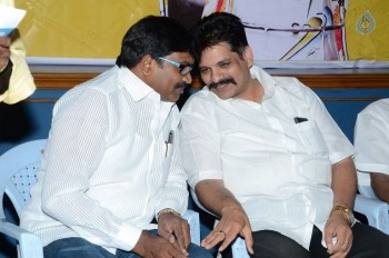 Panthulu Gaari Ammayi Audio Launch - 4 of 19