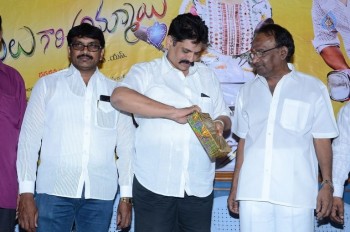 Panthulu Gaari Ammayi Audio Launch - 5 of 19