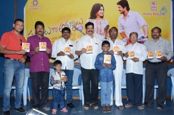 Panthulu Gaari Ammayi Audio Launch - 8 of 19