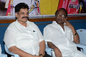 Panthulu Gaari Ammayi Audio Launch - 10 of 19