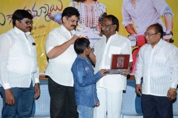 Panthulu Gaari Ammayi Audio Launch - 13 of 19