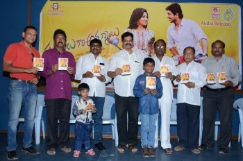 Panthulu Gaari Ammayi Audio Launch - 14 of 19