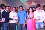 Patas Movie Audio Launch 03 - 19 of 239