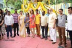 Pilavani Perantam Movie Opening - 97 of 178